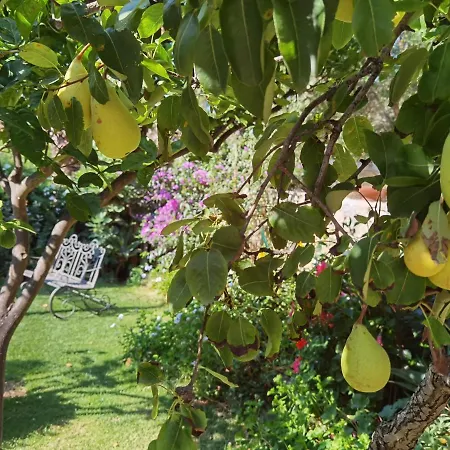 Il Giardino Di Tatiana Rooms-3