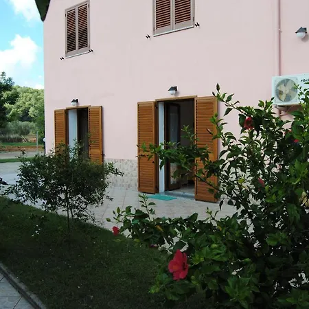 B&B Arenosu25-2
