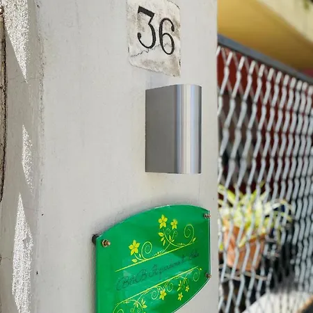 Il giardino di Iole-3