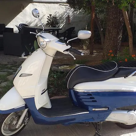 Il Vecchio Ginepro-3