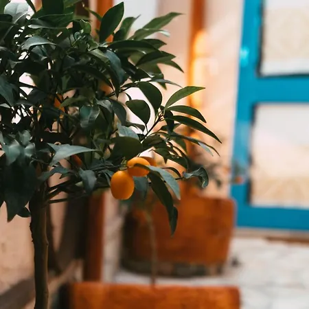 B&B Ziu Anacletu-2