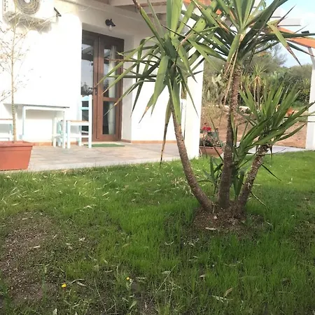 La fragola in Campagna 6 k m da San pantaleo-2