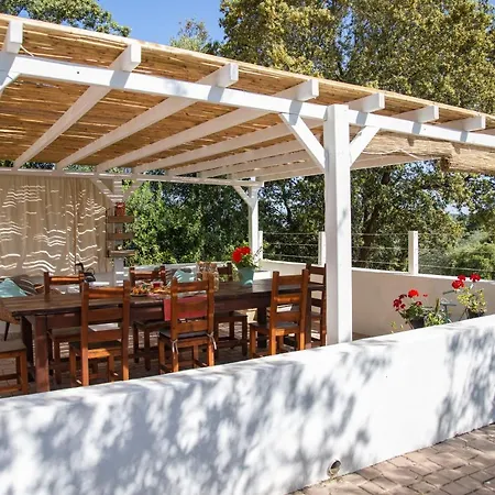 Oliveto Bed And Breakfast-3