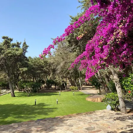 Villa Zinnibiri-3