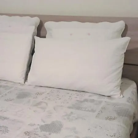 B&B Leo'S-2
