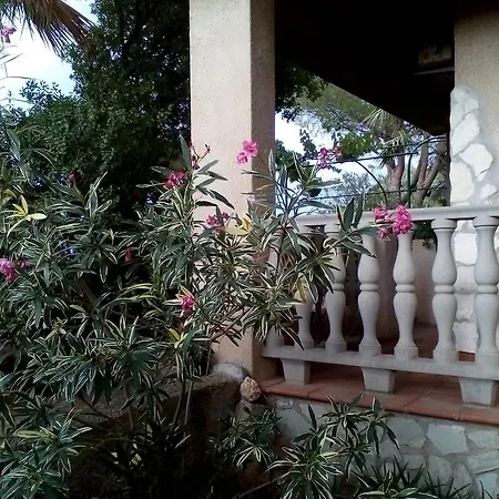 B&B Il Vigneto-3