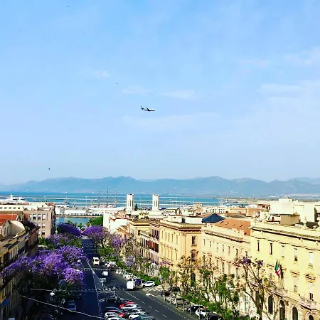 Panoramic Suite-2