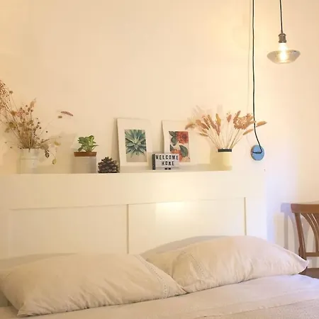 Cozy Room With Kitchen Use In The Heart Of Cagliari - Villanova-3