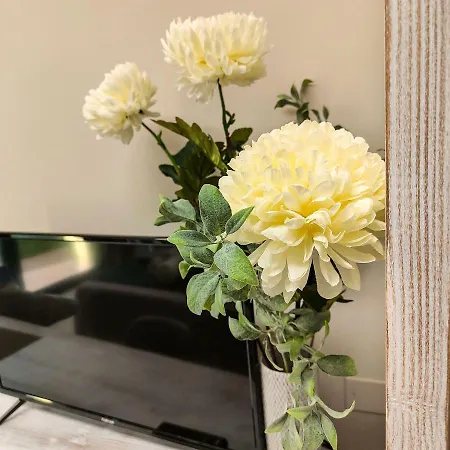 Delphinium-2