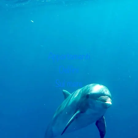 Appartamento Delfino Azzurro-2