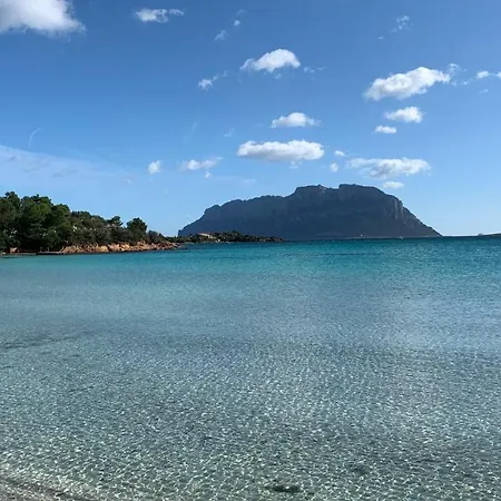 Rosa Dei Venti - Casa Maestrale - Sardegna - Iun R2217-3