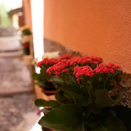 Casa Mirto-3