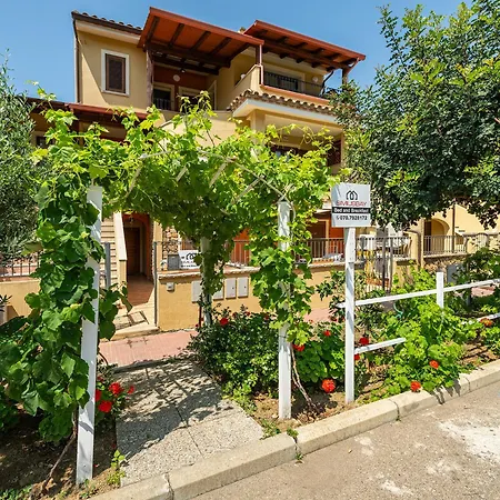 Simius Bay-2
