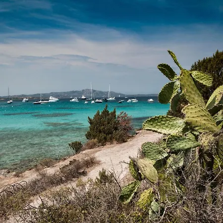 Villetta Franca 100M From The Beach - Happy Rentals-3