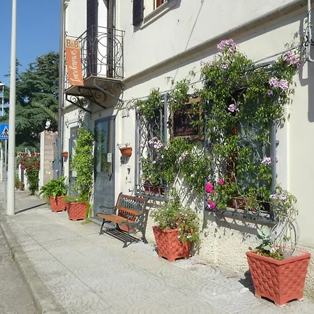 B&B Tredomus-2