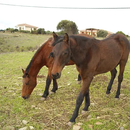 Agriturismo Depalmas-3