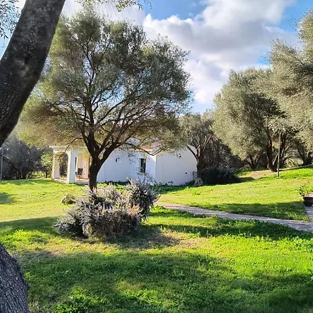 Tenuta Le Terre 1927-3