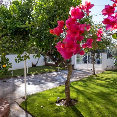 Nautika Suites-2