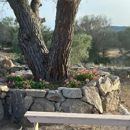 Ammentos-2