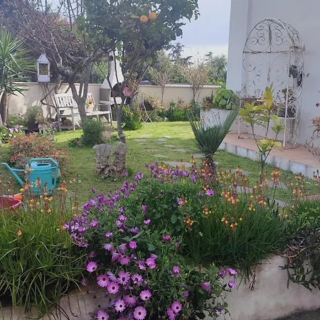 Casa Vacanze Olbia-3