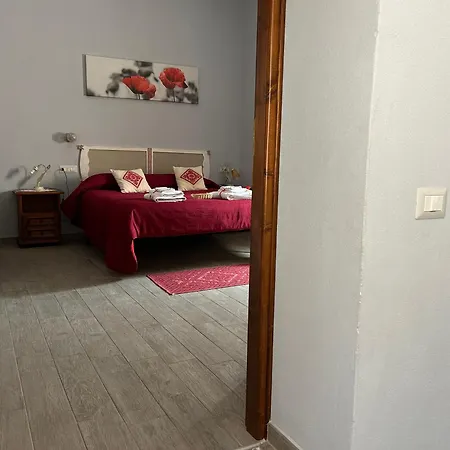 B&B Babay-2