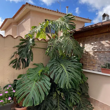 40° Parallelo-2