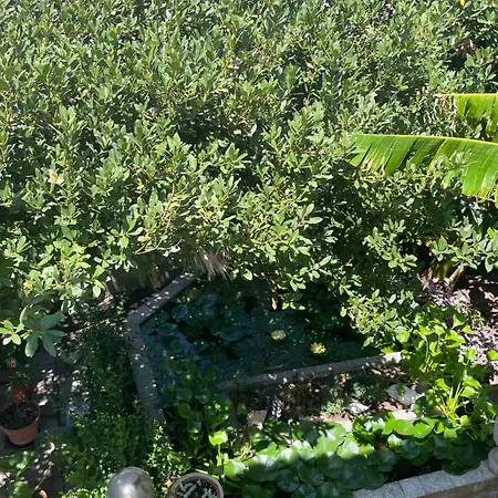 La casa di Mannazzotta 1-3