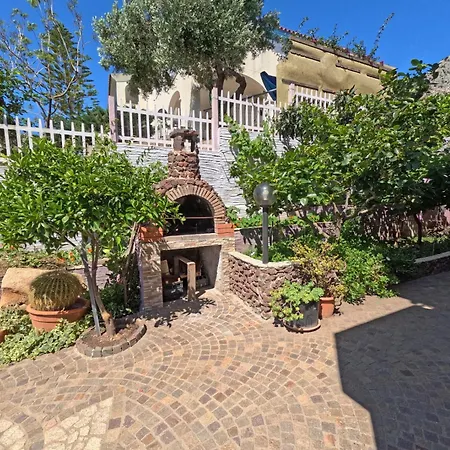 Casa Purple-3
