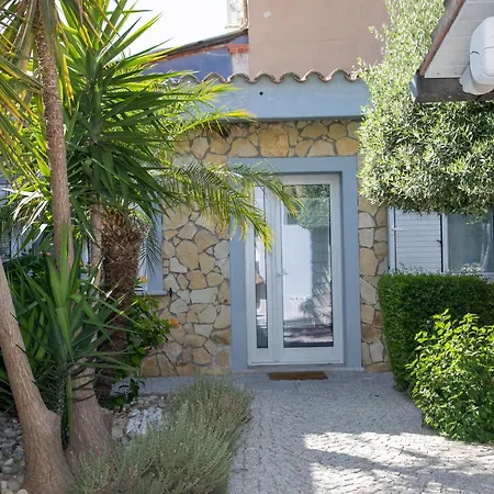 Hibiscus B&B-3