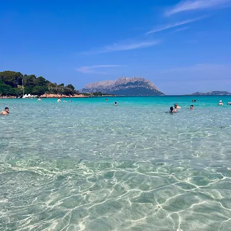 Olbiamare 44-2