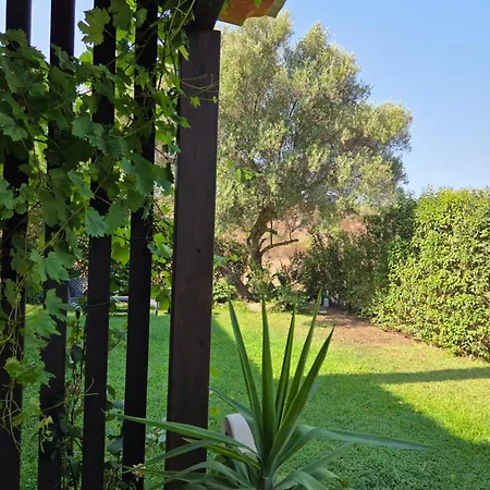Artemisia Bed And Breakfast-3