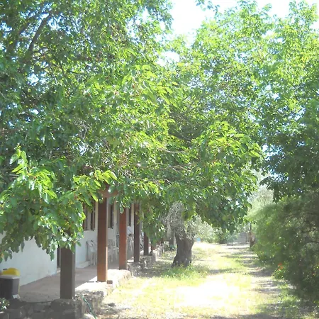 Agriturismo Su Tiresi-2