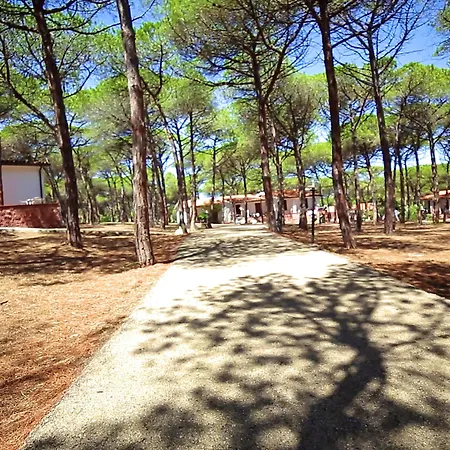Villaggio Dei Pini-2