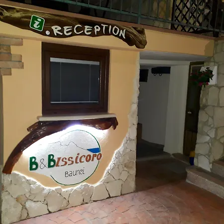 B&B Issicoro-3