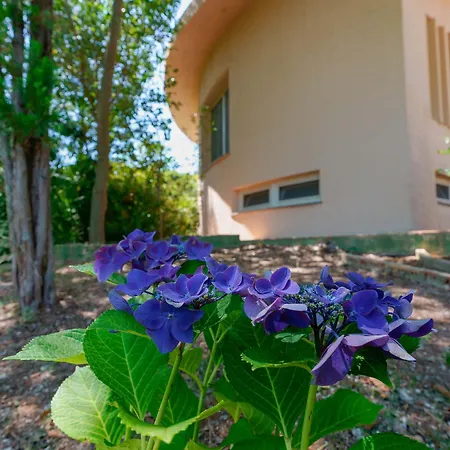 B&B Villa Zola-2