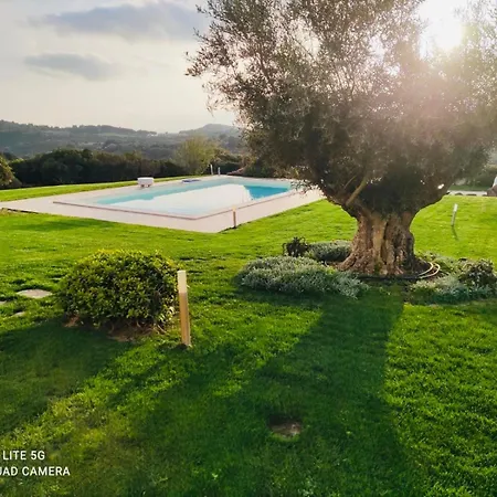 Villa Dama Luxury-2