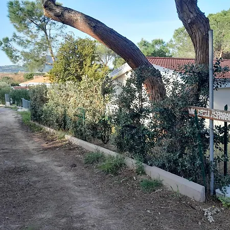 Casa KIA - Pet Friendly-2