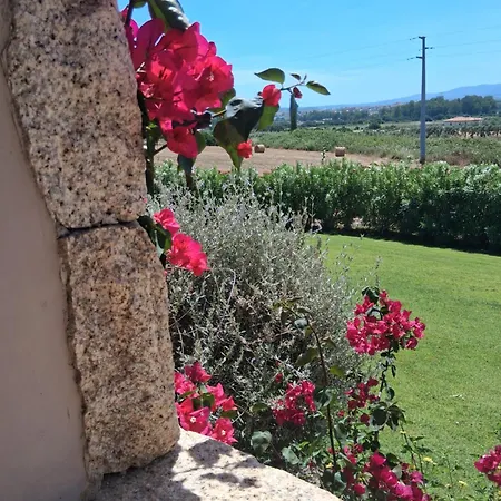 B&B Majore-3