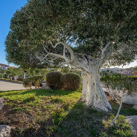 Villa Marconi Apartment 9-2