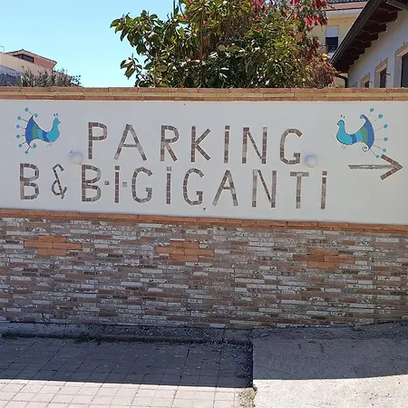 I Giganti-2