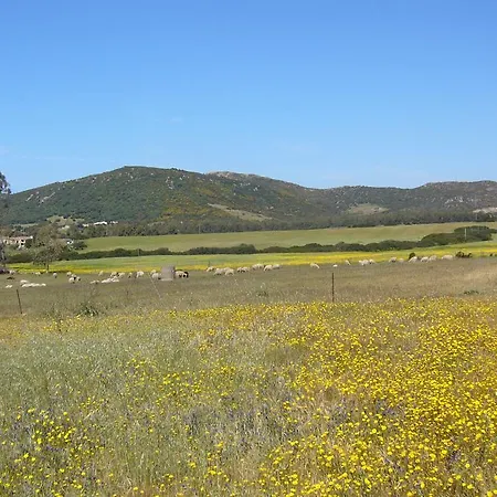 B&B Le Vele Teulada-2