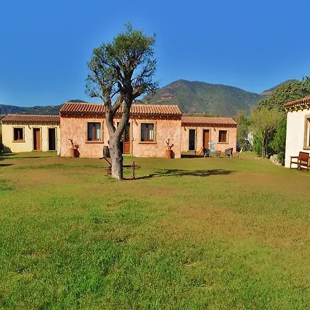 B&B Pubulos-3