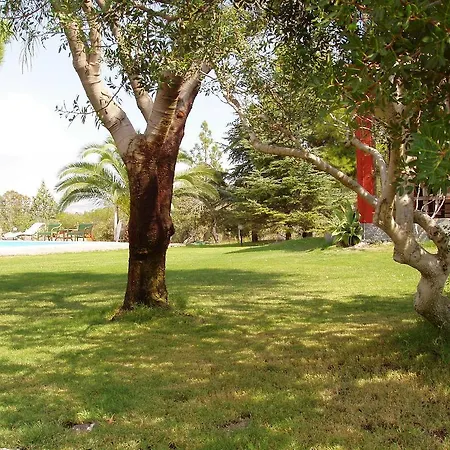 Villa Franca-3