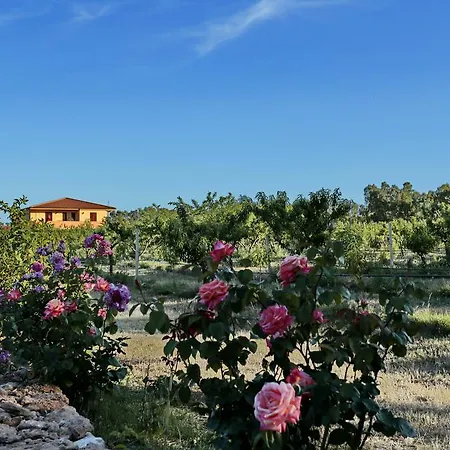 Bed And Breakfast Le Camelie-3