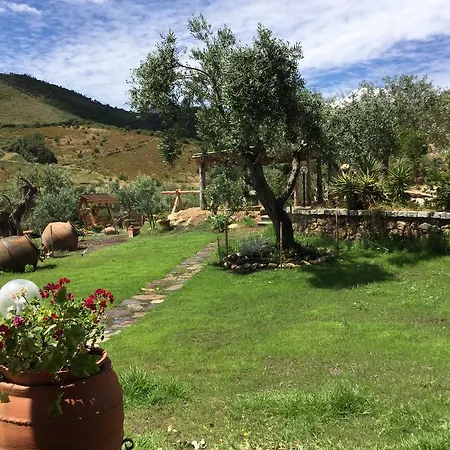 Il Giardino Di Daniela-3