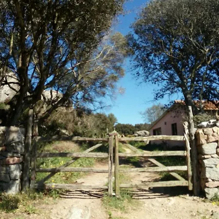 Eucaliptus Farm Retreat-3
