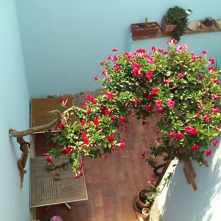 Bed&Breakfast La Pavoncella-2