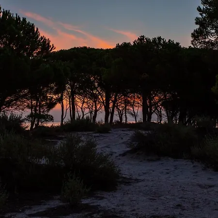 Residenze Mare e Pineta-2
