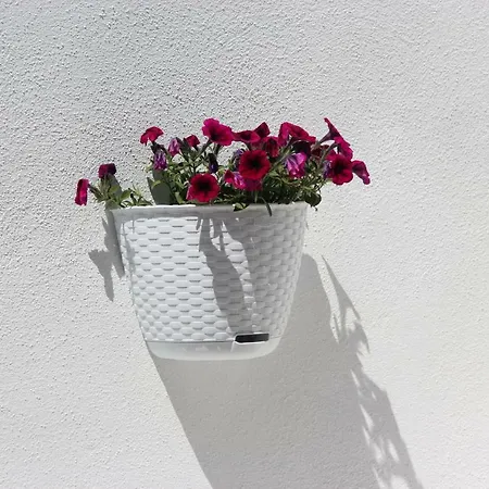 Casa Berenice-3