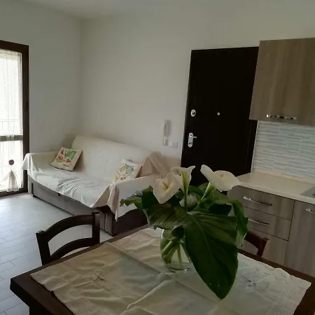 B&B Nino-2
